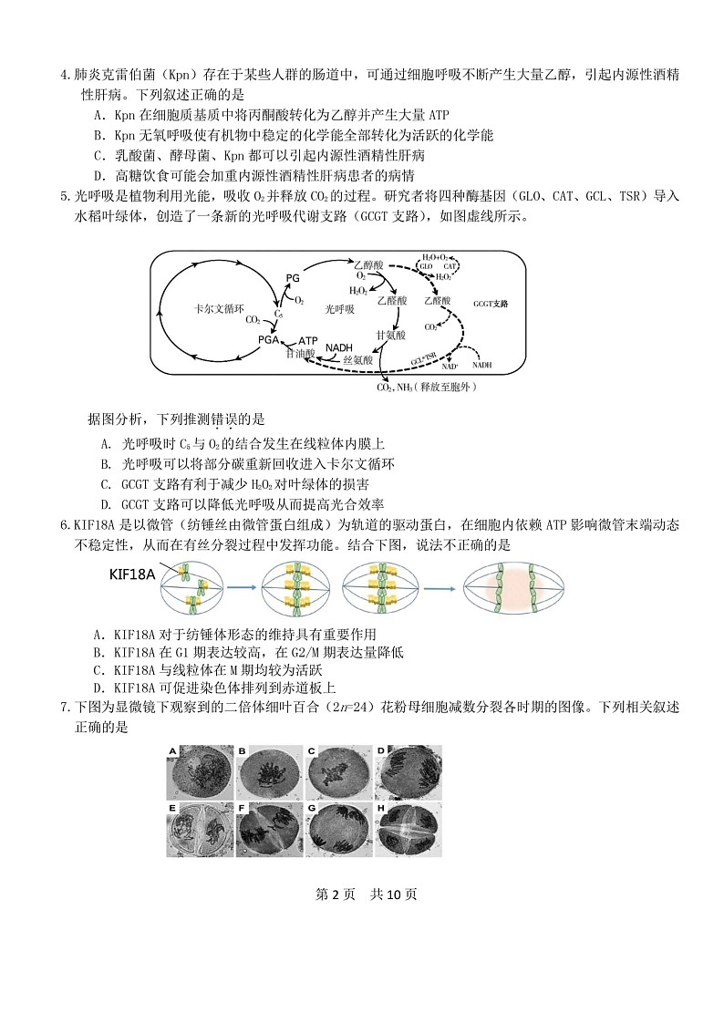 [生物]2024北京五十五中高三上学期10月月考试卷第2页