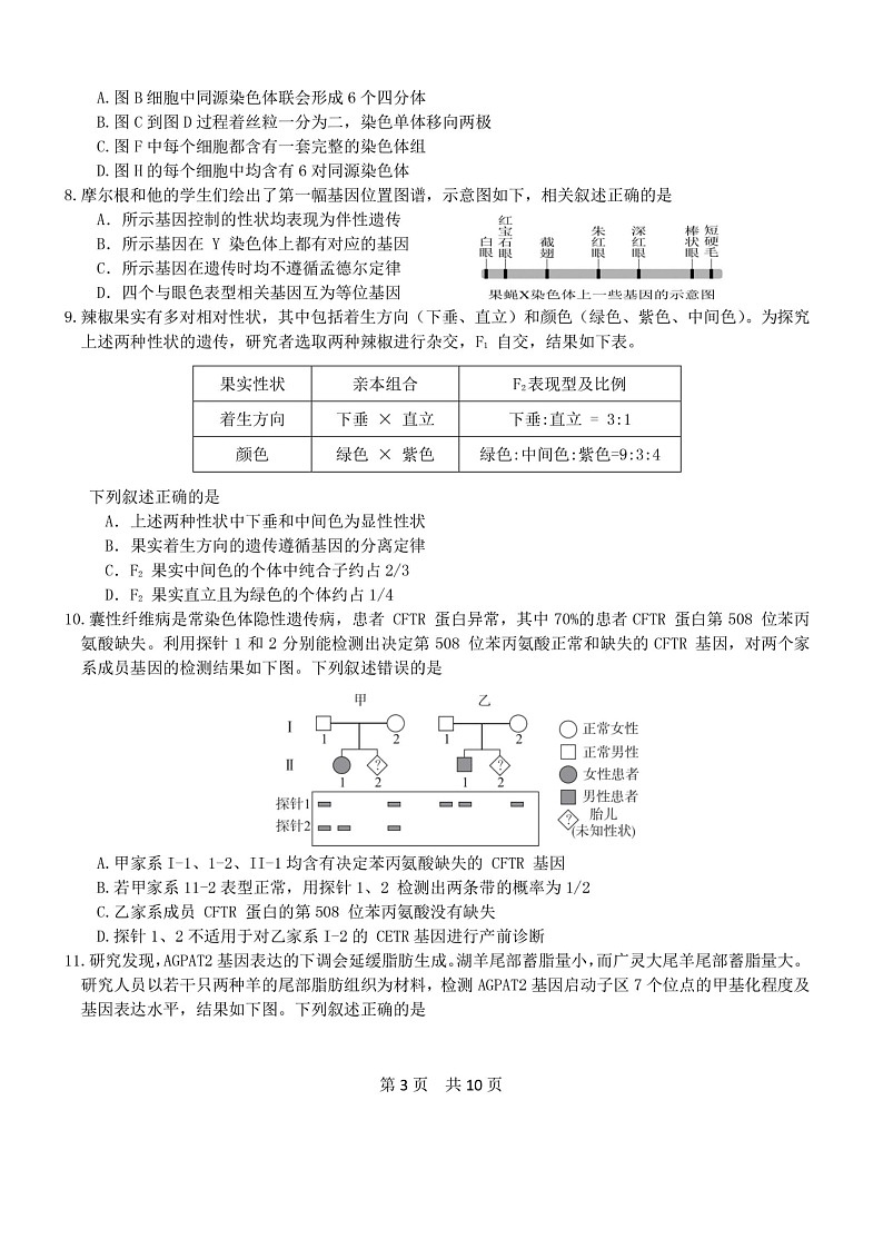 [生物]2024北京五十五中高三上学期10月月考试卷第3页