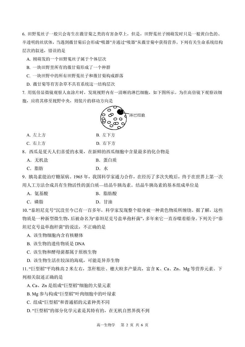 贵州省遵义市南白中学2024-2025学年高一上学期10月月考生物试题02