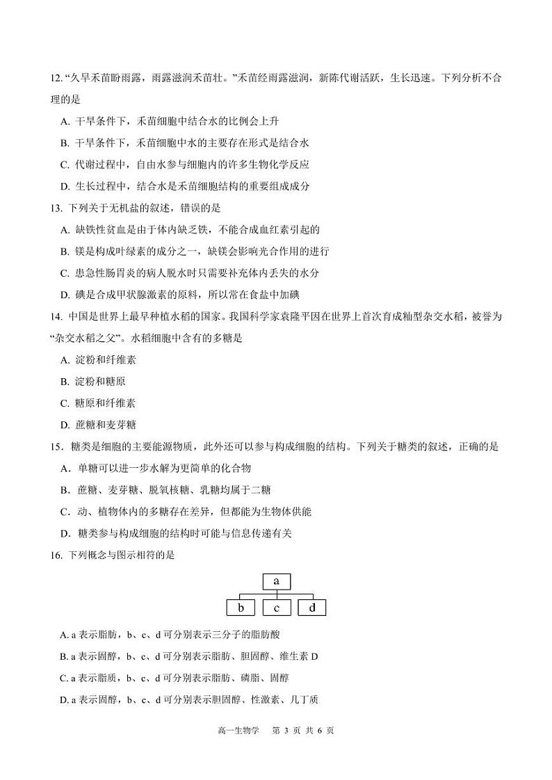 贵州省遵义市南白中学2024-2025学年高一上学期10月月考生物试题03