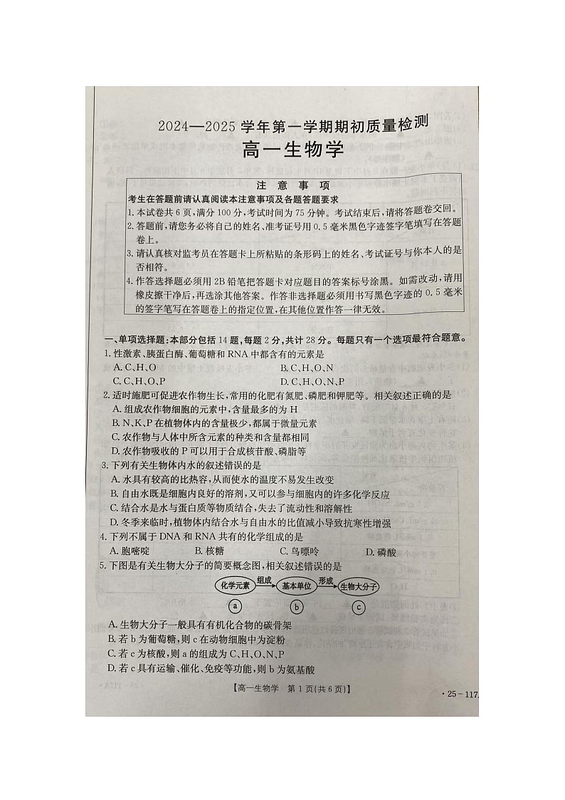 江苏省徐州市邳州市毓秀高级中学-2024-2025学年高一上学期10月月考生物试卷第1页