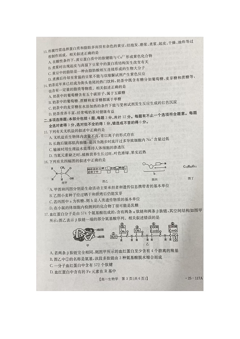 江苏省徐州市邳州市毓秀高级中学-2024-2025学年高一上学期10月月考生物试卷第3页