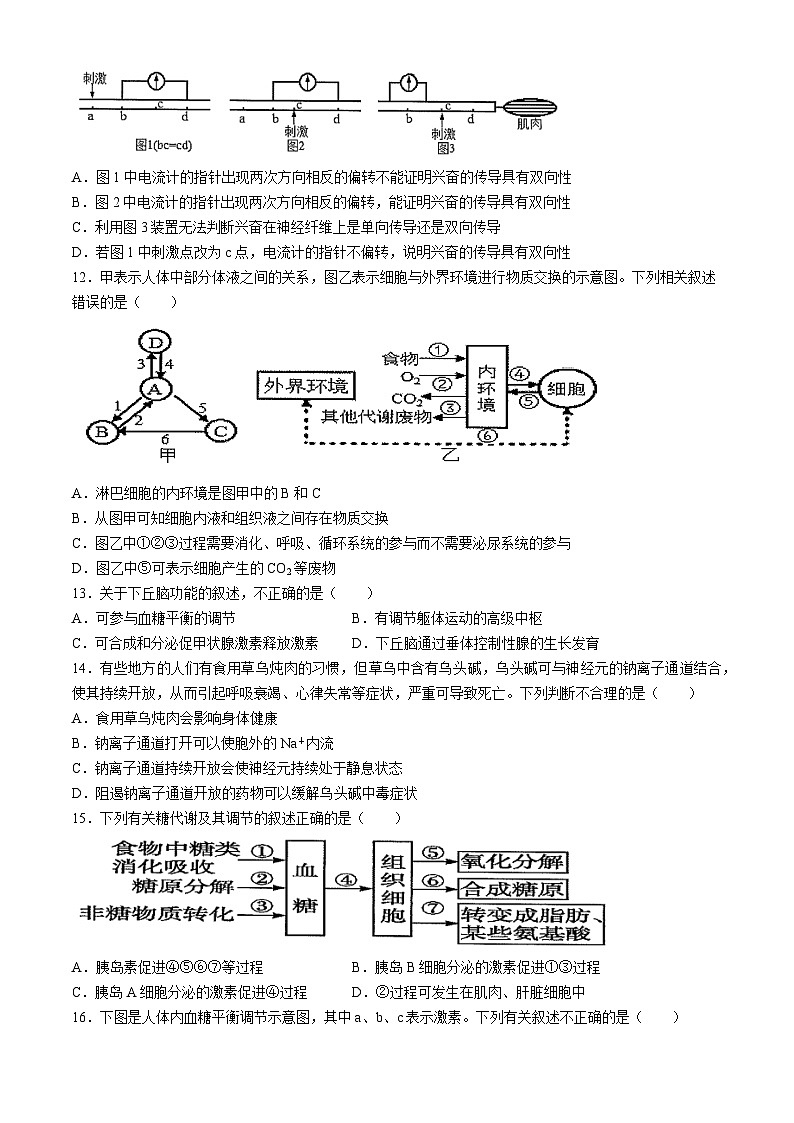 广西钦州市2024-2025学年高二上学期10月月考生物试卷(无答案)第3页