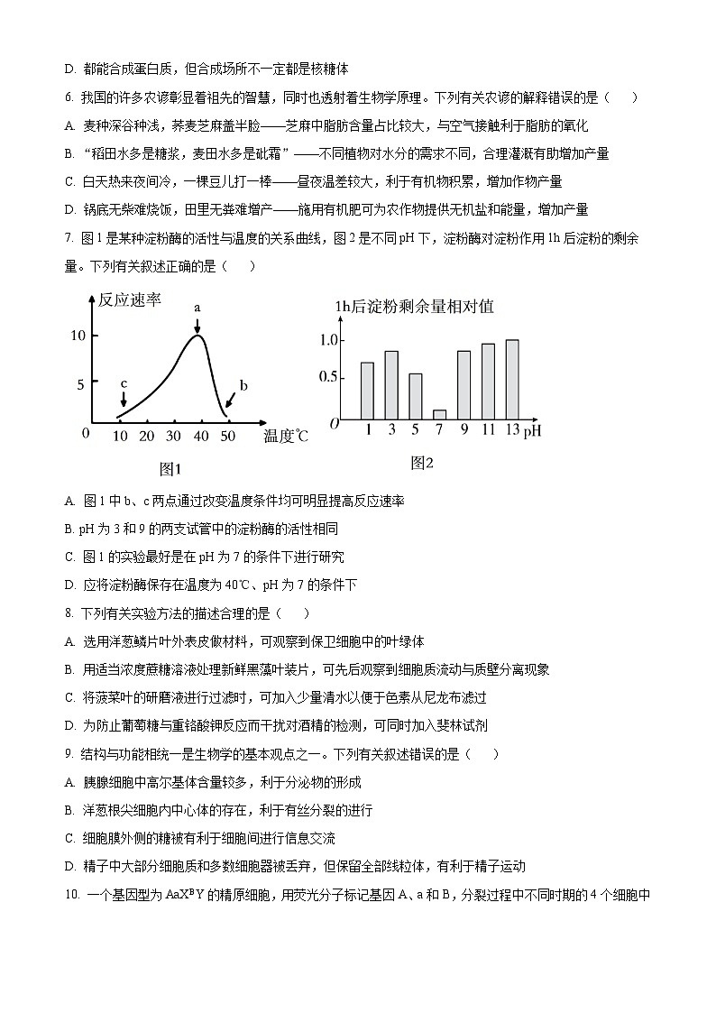 辽宁省大连市滨城高中联盟2024-2025学年高三上学期期中考试（一）生物试卷02