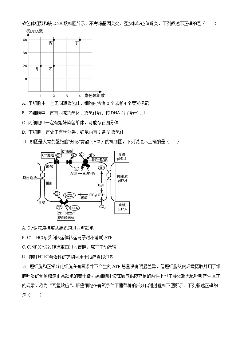 辽宁省大连市滨城高中联盟2024-2025学年高三上学期期中考试（一）生物试卷03