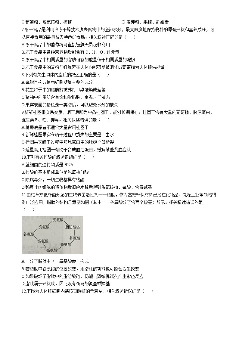 江苏省徐州市邳州市毓秀高级中学-2024-2025学年高一上学期10月月考生物试卷(无答案)02