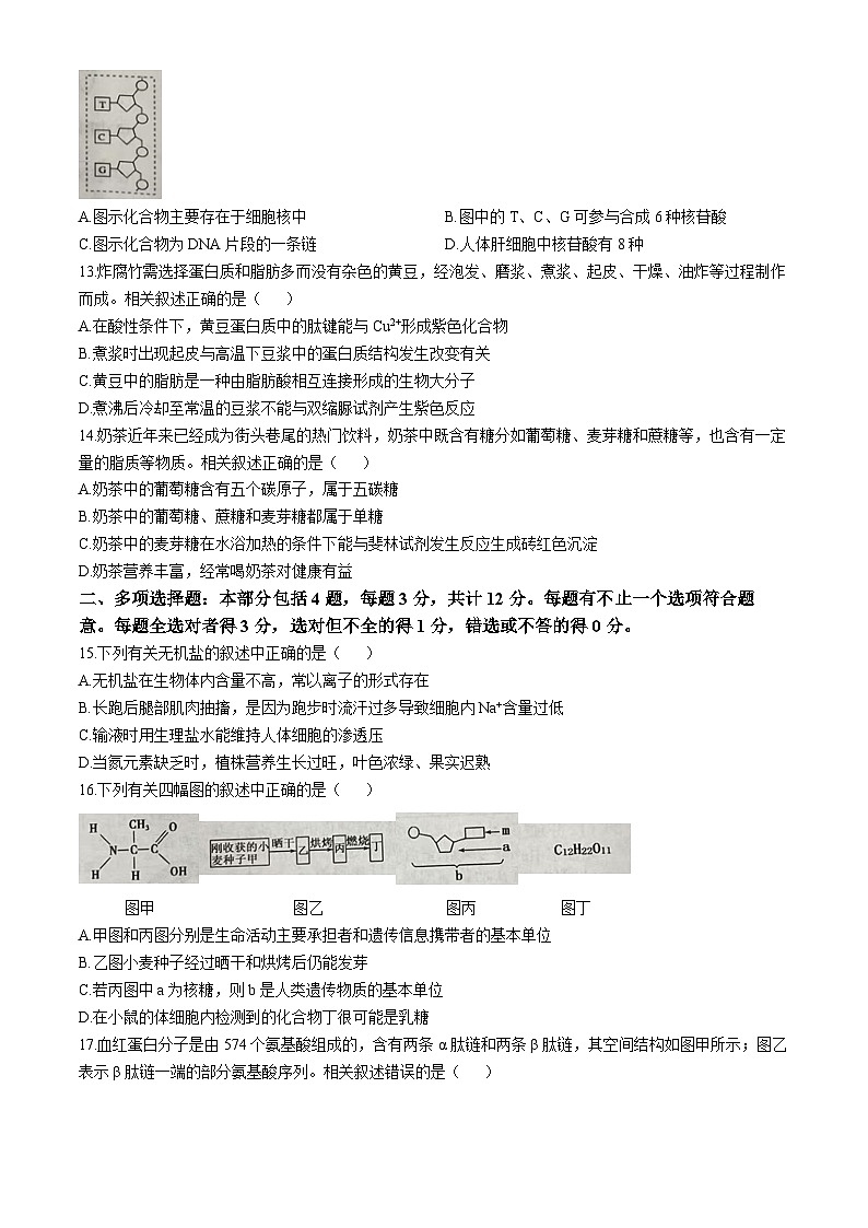 江苏省徐州市邳州市毓秀高级中学-2024-2025学年高一上学期10月月考生物试卷(无答案)03