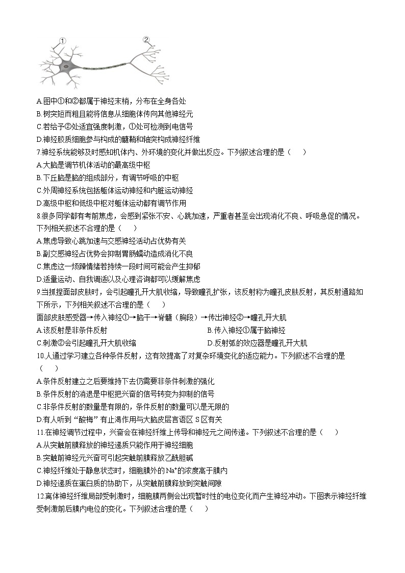 贵州省遵义市遵义市南白中学2024-2025学年高二上学期10月月考生物试题02