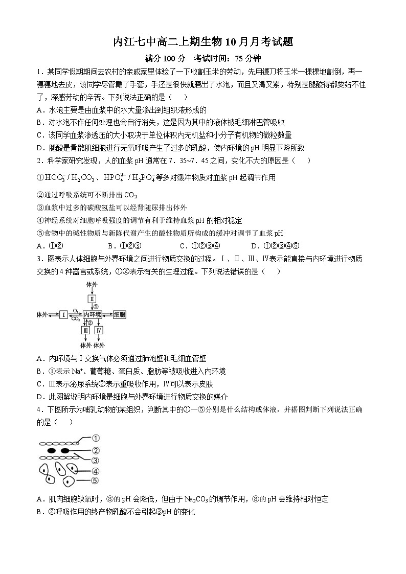 四川省内江市第七中学2024-2025学年高二上学期10月月考生物试题第1页