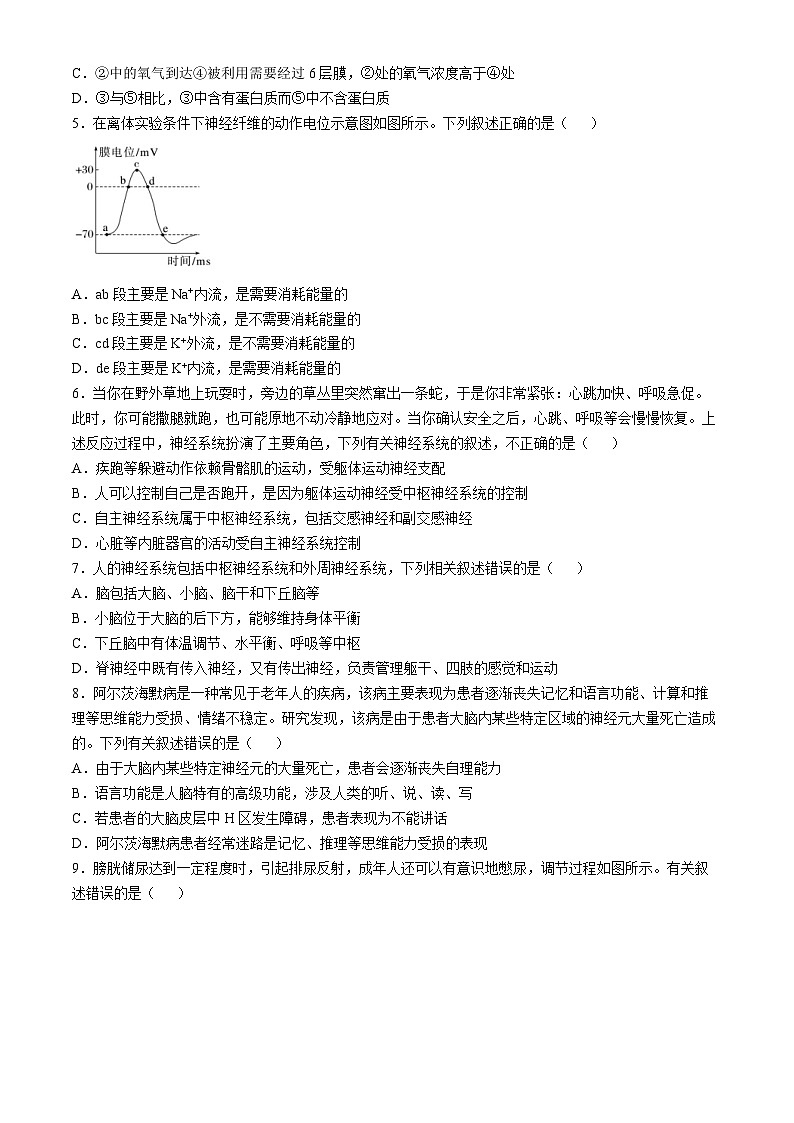 四川省内江市第七中学2024-2025学年高二上学期10月月考生物试题第2页