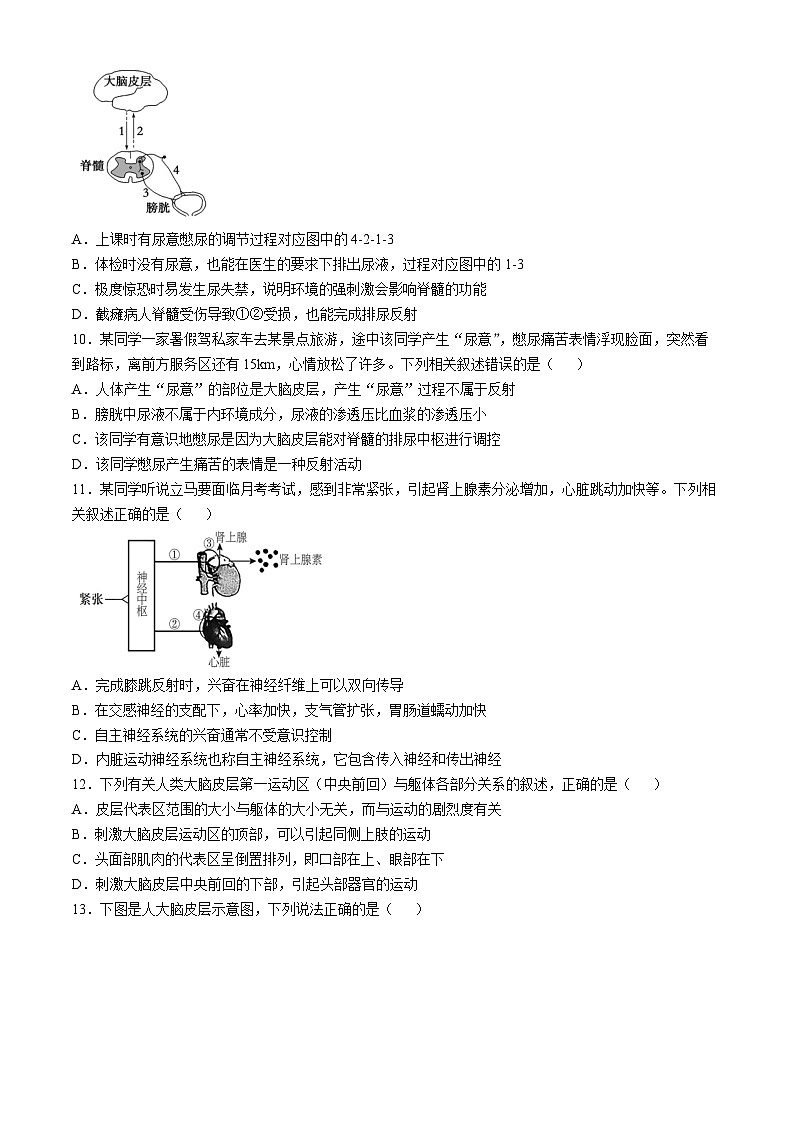 四川省内江市第七中学2024-2025学年高二上学期10月月考生物试题第3页