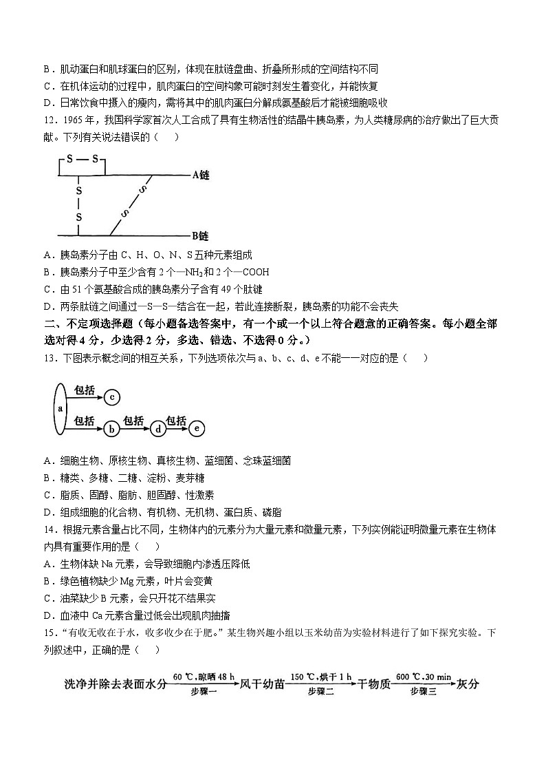 湖南省长沙市长沙市第一中学2024-2025学年高一上学期第一次月考试卷生物03