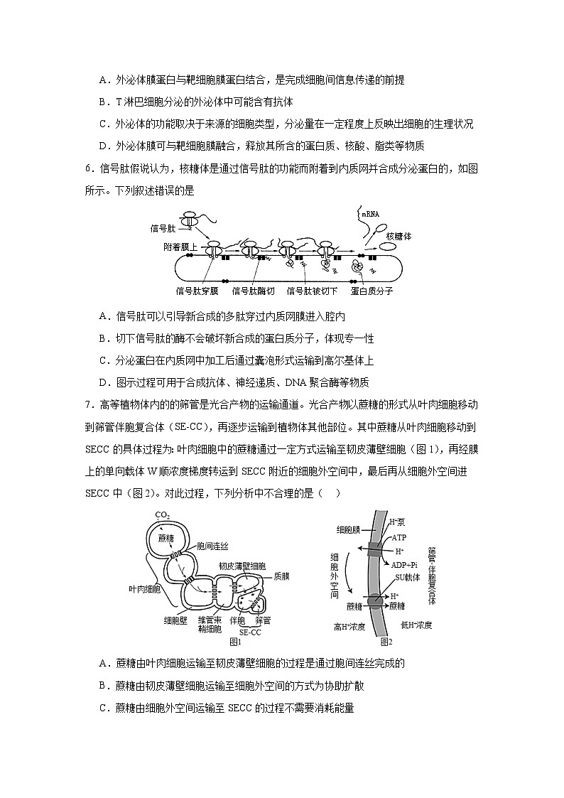 湖南省益阳市安化县安化县第二中学2024-2025学年高三上学期10月月考生物试题第2页