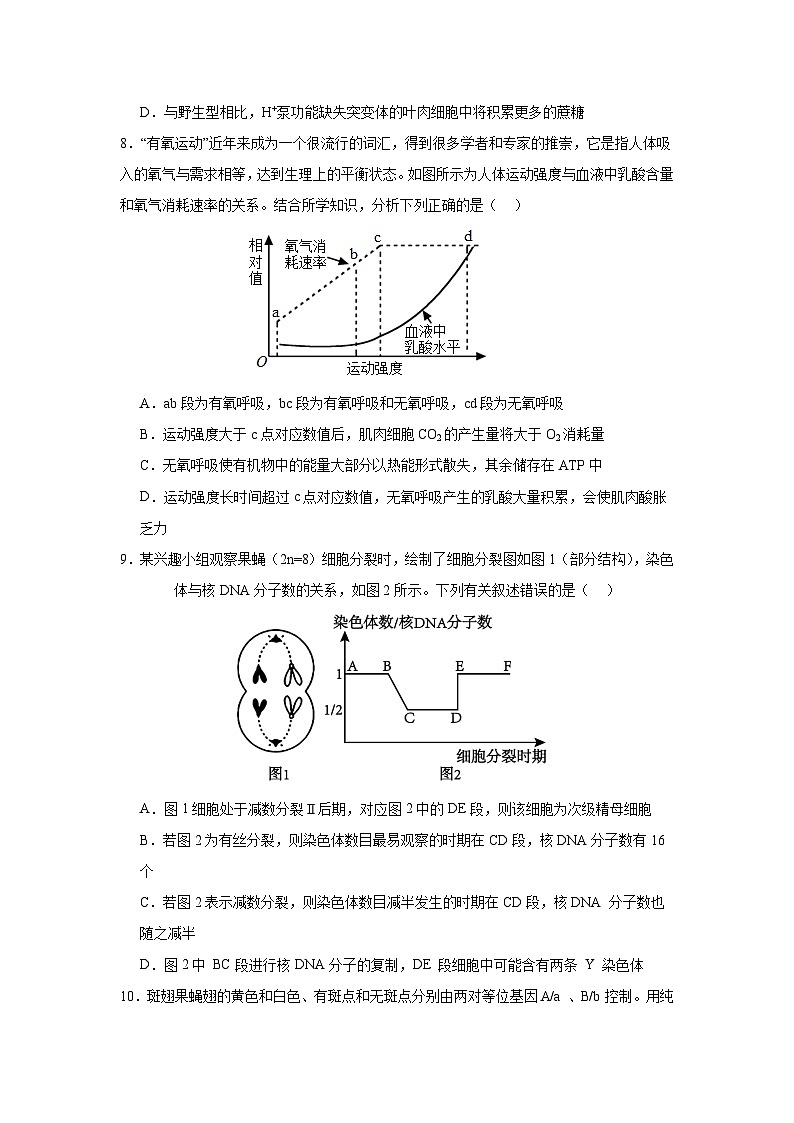 湖南省益阳市安化县安化县第二中学2024-2025学年高三上学期10月月考生物试题第3页