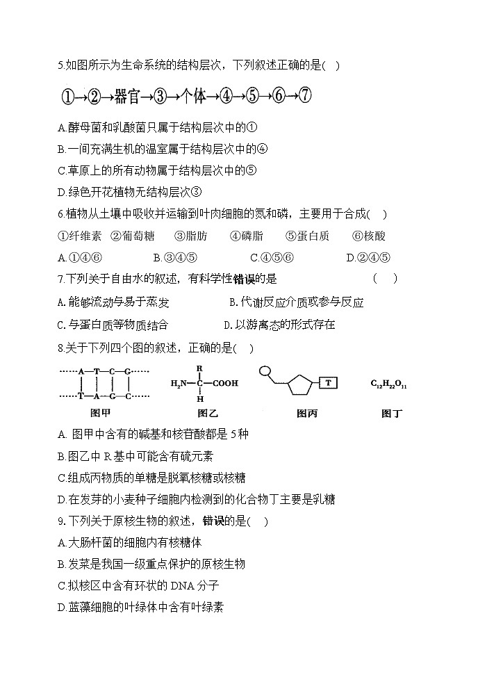 黑龙江省牡丹江市海林市朝鲜族中学2024-2025学年高一上学期第一次月考生物试卷02