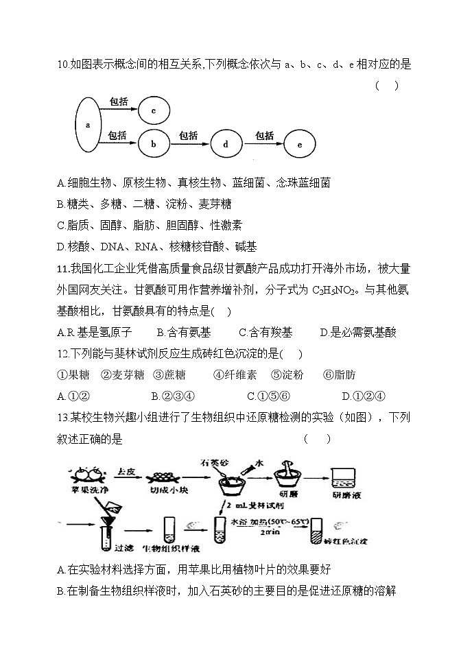 黑龙江省牡丹江市海林市朝鲜族中学2024-2025学年高一上学期第一次月考生物试卷03