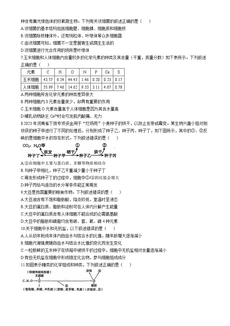 广西壮族自治区玉林市博白县中学2024-2025学年高一上学期10月月考生物试题(无答案)第2页