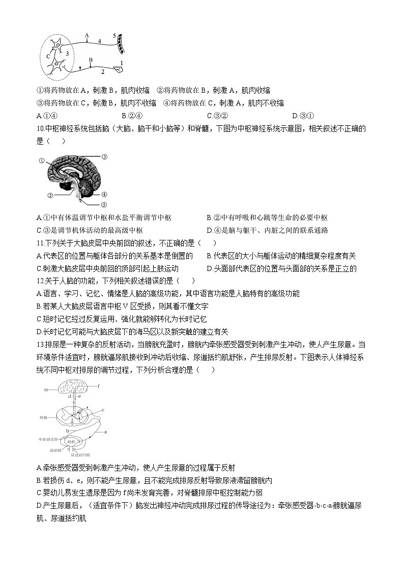 天津市滨海新区大港第三中学2024-2025学年高二上学期10月月考生物试题03
