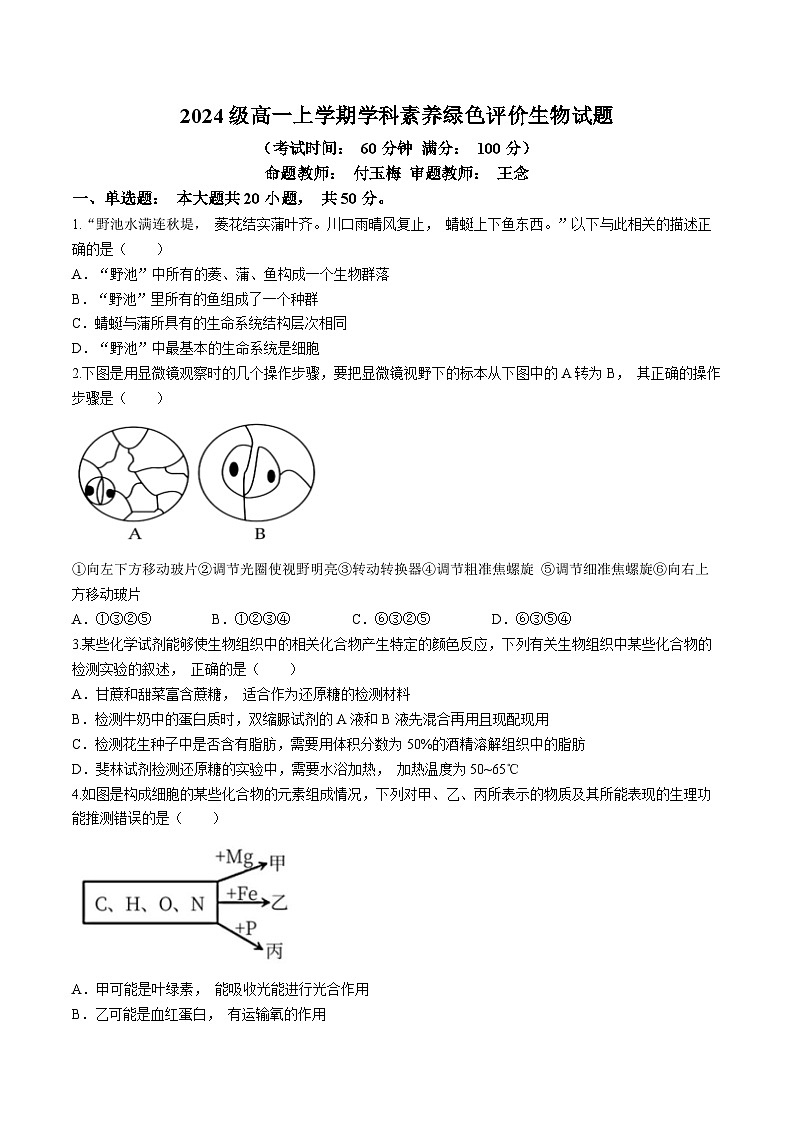 安徽省合肥市第十中学2024-2025学年高一上学期第一次月考生物试题(无答案)第1页