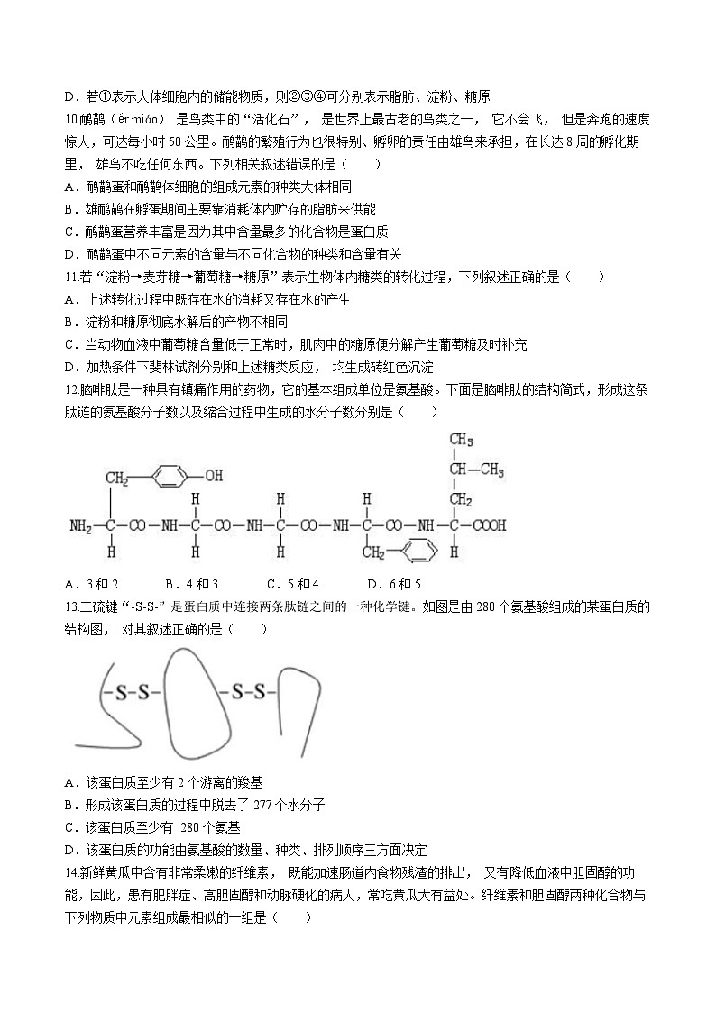 安徽省合肥市第十中学2024-2025学年高一上学期第一次月考生物试题(无答案)第3页