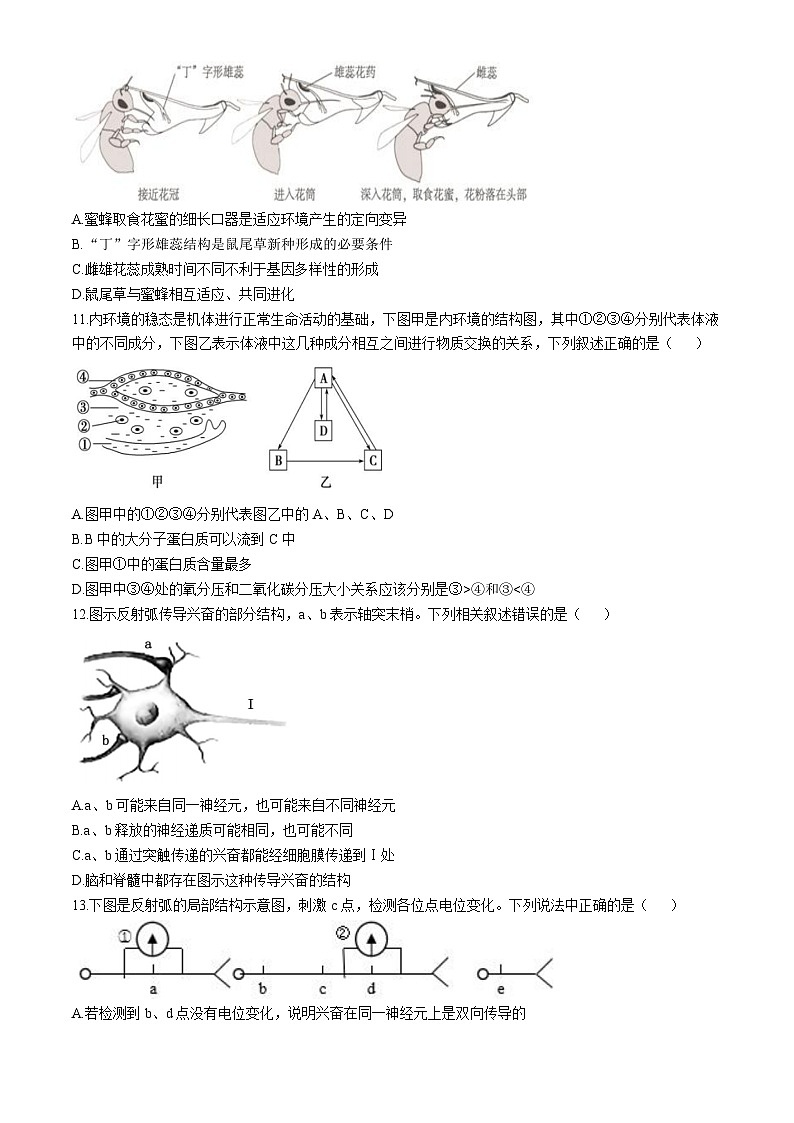 海南海口市某校2024-2025学年高二上学期10月月考生物试题03
