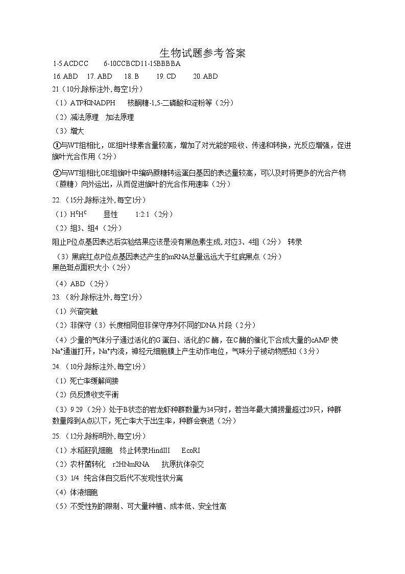 山东省济南市2024-2025学年高三九月摸底考试试卷生物（含答案）01
