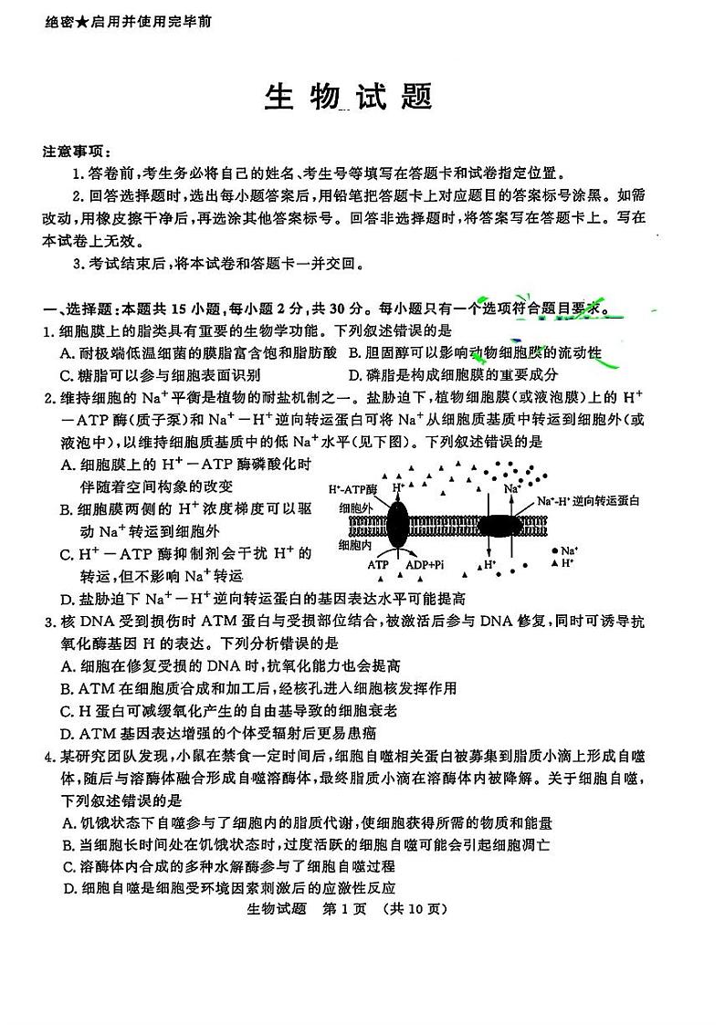 山东省济南市2024-2025学年高三九月摸底考试试卷生物（含答案）01
