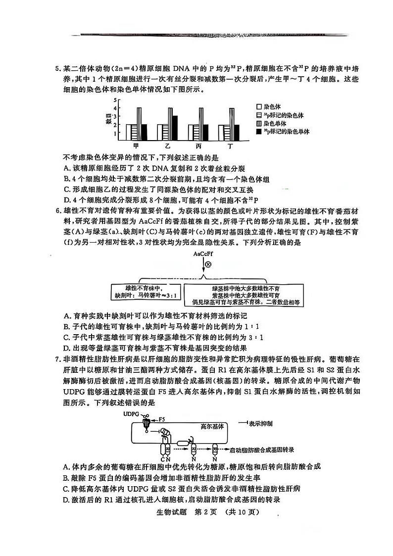 山东省济南市2024-2025学年高三九月摸底考试试卷生物（含答案）02