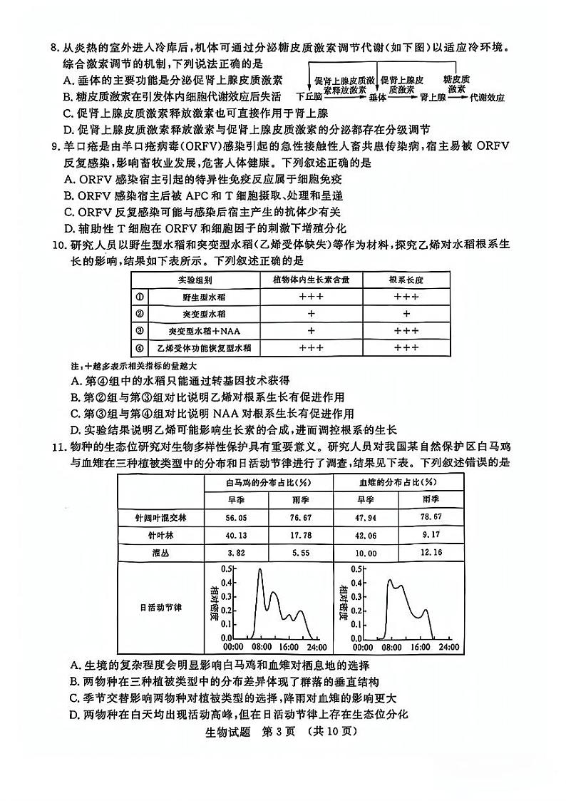 山东省济南市2024-2025学年高三九月摸底考试试卷生物（含答案）03