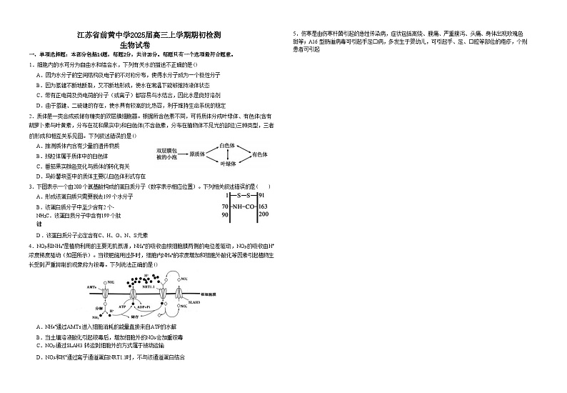 江苏省前黄2024-2025学年高三上学期期初检测试卷生物（含答案）01