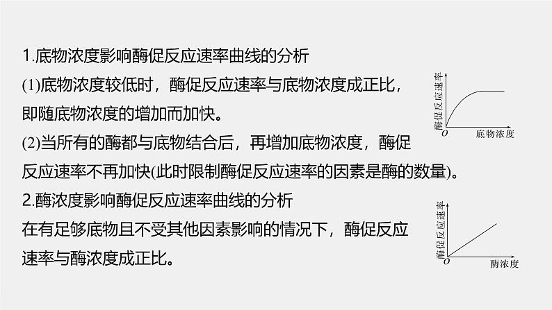 高中生物（人教版）新教材同步必修第一册课件+讲义 第5章　微专题二　与酶促反应速率有关的曲线分析03