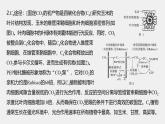 高中生物（人教版）新教材同步必修第一册课件+讲义 第5章　微专题三　C3、C4、CAM植物及光呼吸