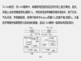 高中生物（人教版）新教材同步必修第一册课件+讲义 第5章　微专题三　C3、C4、CAM植物及光呼吸