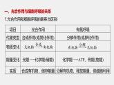 高中生物（人教版）新教材同步必修第一册课件+讲义 第5章　微专题四　光合作用与细胞呼吸的关系、曲线模型及相关实验设计