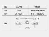 高中生物（人教版）新教材同步必修第一册课件+讲义 第5章　微专题四　光合作用与细胞呼吸的关系、曲线模型及相关实验设计