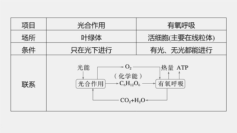 高中生物（人教版）新教材同步必修第一册课件+讲义 第5章　微专题四　光合作用与细胞呼吸的关系、曲线模型及相关实验设计04