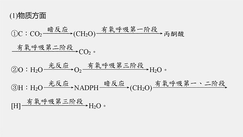 高中生物（人教版）新教材同步必修第一册课件+讲义 第5章　微专题四　光合作用与细胞呼吸的关系、曲线模型及相关实验设计05