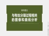 高中生物（人教版）新教材同步必修第一册课件+讲义 第6章　微专题五　与有丝分裂过程相关的图像和曲线分析
