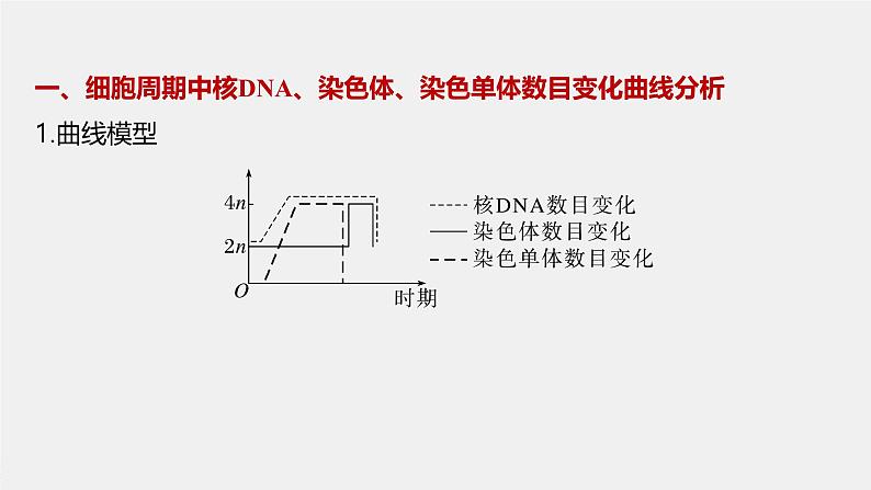 第6章　微专题五　与有丝分裂过程相关的图像和曲线分析第3页