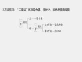 高中生物（人教版）新教材同步必修第一册课件+讲义 第6章　微专题五　与有丝分裂过程相关的图像和曲线分析