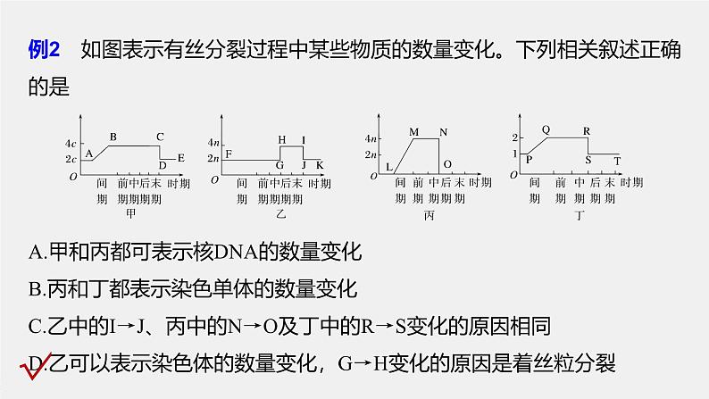 第6章　微专题五　与有丝分裂过程相关的图像和曲线分析第7页