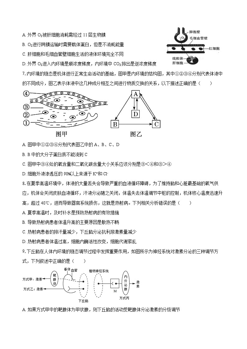 2024-2025学年山东省济南市高二（上）学情检测生物试卷（9月份）（含答案）第2页