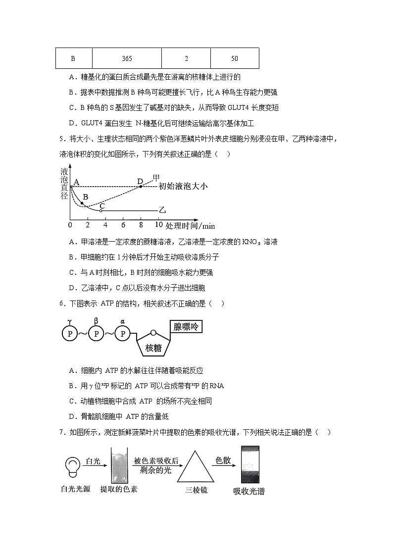 江苏省百校联考侯集中学2024-2025学年高三上学期生物学试卷第2页