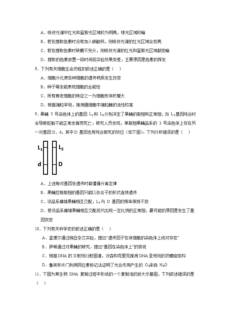 江苏省百校联考侯集中学2024-2025学年高三上学期生物学试卷第3页