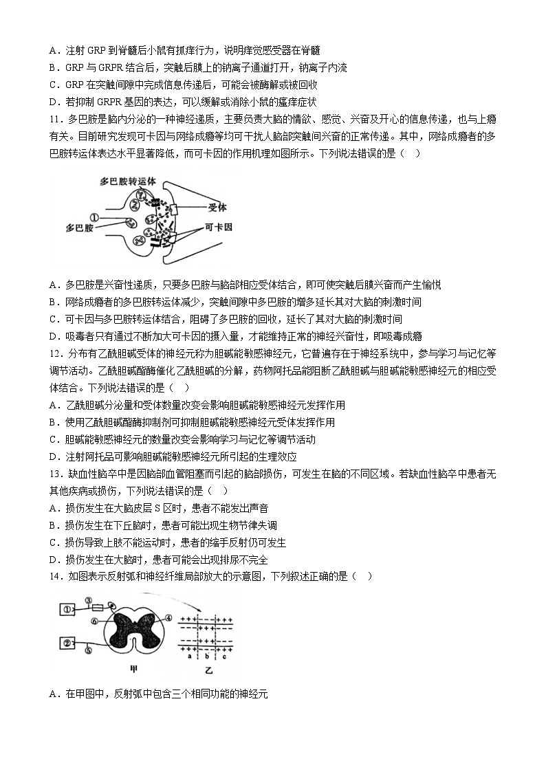 山东省青岛市即墨区实验高级中学2024-2025学年高二上学期第一次月考生物试卷第3页