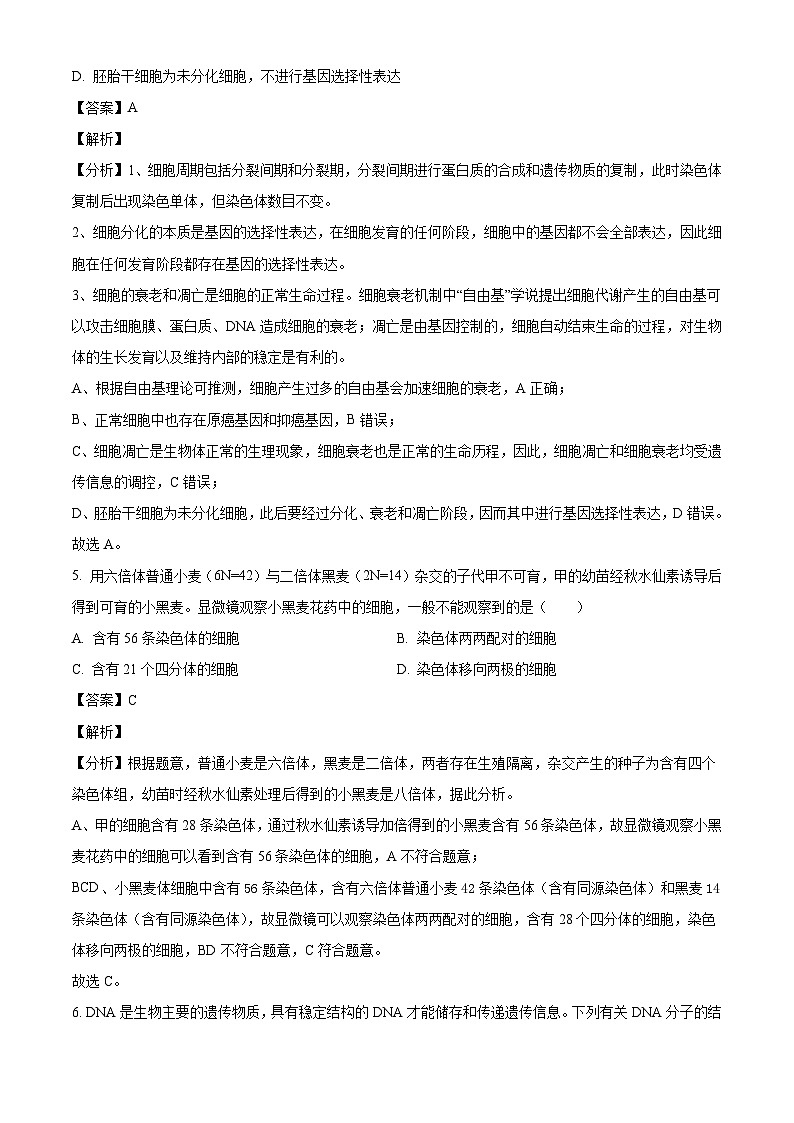 贵州省贵阳市一中2024-2025学年高三上学期第三次月考生物试题（解析版）03
