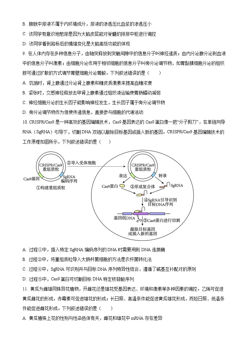 湖北省武汉外国语学校2025届高三上学期10月考试生物试题 Word版无答案第3页