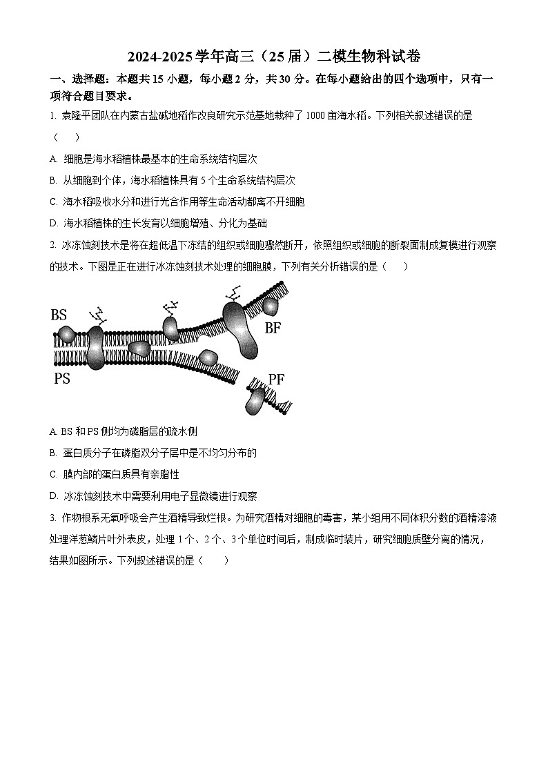 辽宁省鞍山市第一中学2024-2025学年高三上学期10月二模试题 生物 Word版含答案第1页