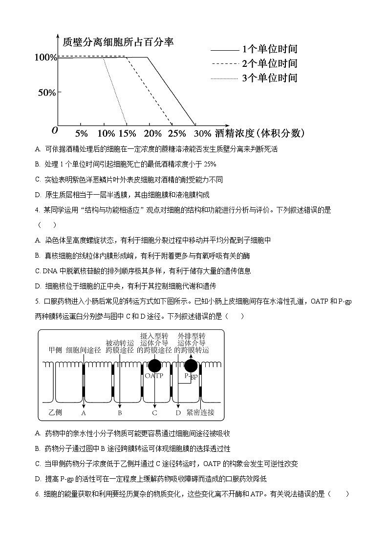 辽宁省鞍山市第一中学2024-2025学年高三上学期10月二模试题 生物 Word版含答案第2页