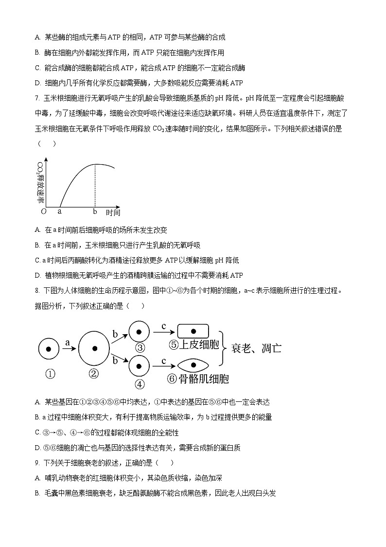 辽宁省鞍山市第一中学2024-2025学年高三上学期10月二模试题 生物 Word版含答案第3页